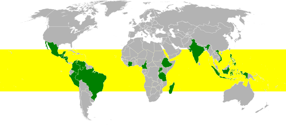 Kaffeegürtel - Kaffeeanbauregionen Kaffeegürtel - Kaffeeanbauregionen