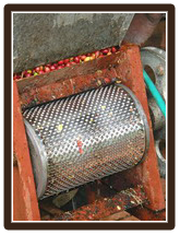 Kaffee Pulper Kaffee Pulper