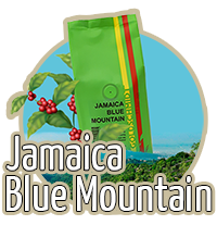 Jamaica Blue Mountain bei Beans Kaffeespezialitäten Wien