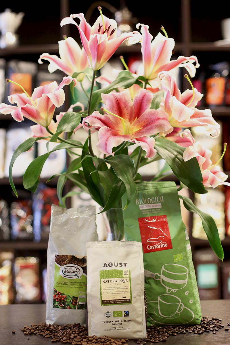 Bio & Fairtrade Kaffee bei Beans Kaffeehandel Online und im Shop in Wien 1030 erhältlich